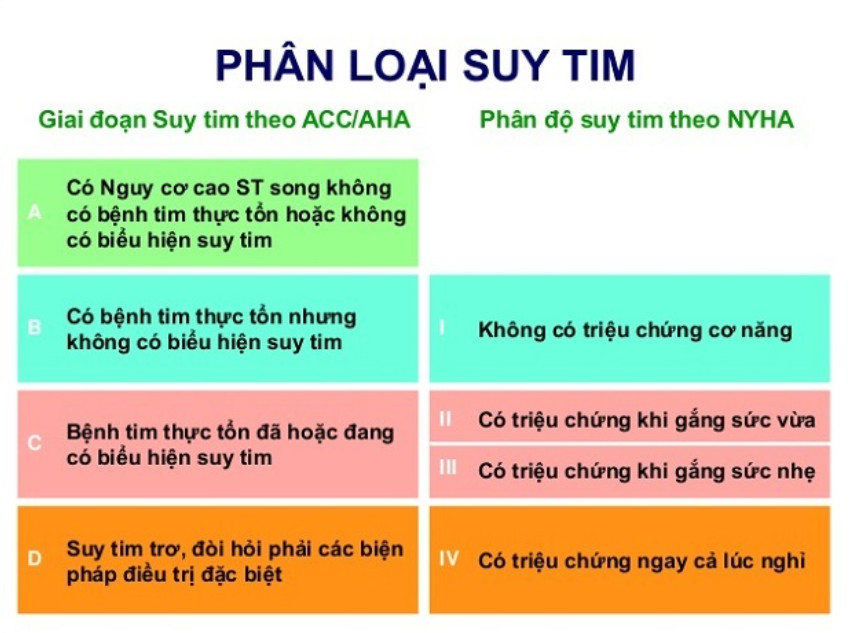 69-1 Phân loại suy tim