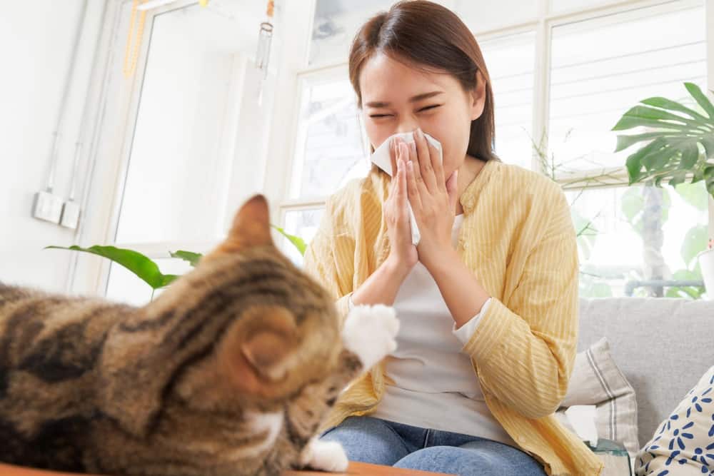 nguyên nhân mũi bị khô: dị ứng