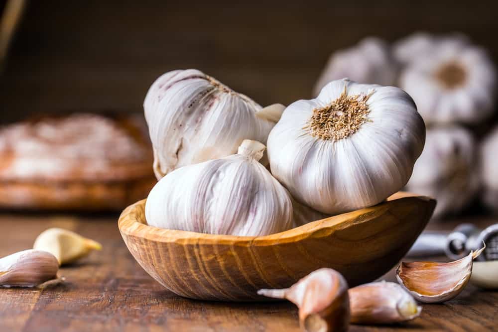 dùng tỏi xua đuổi chuột