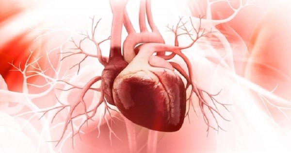 cnab3sa0-suy-tim-2 Theo lâm sàng, suy tim được phân loại nhiều dạng khác nhau