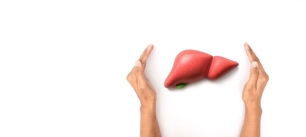 dieu-tri-benh-gan-nhiem-mo Gan nhiễm mỡ có nguy hiểm không và cách điều trị