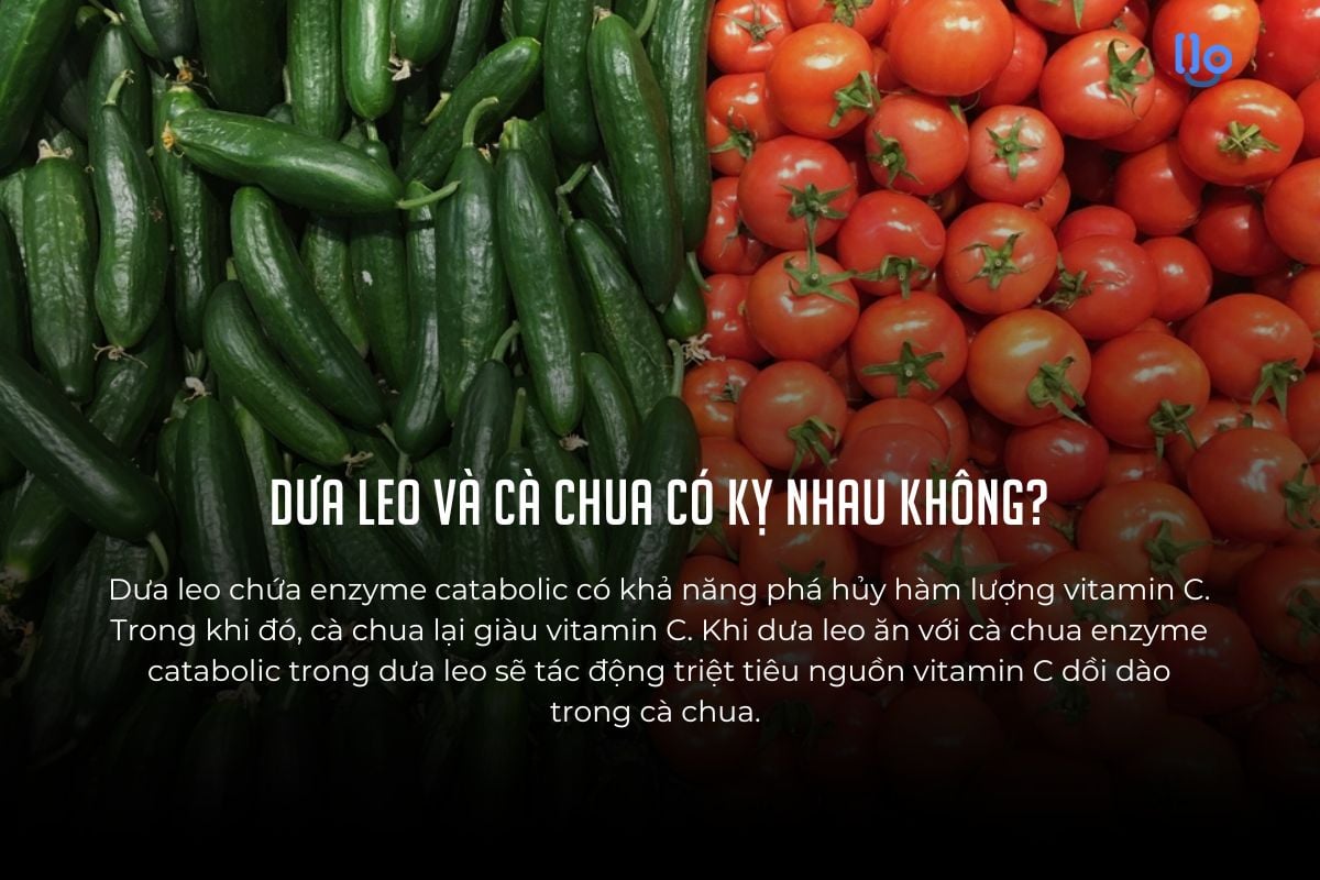 Dưa leo và cà chua có kỵ nhau không