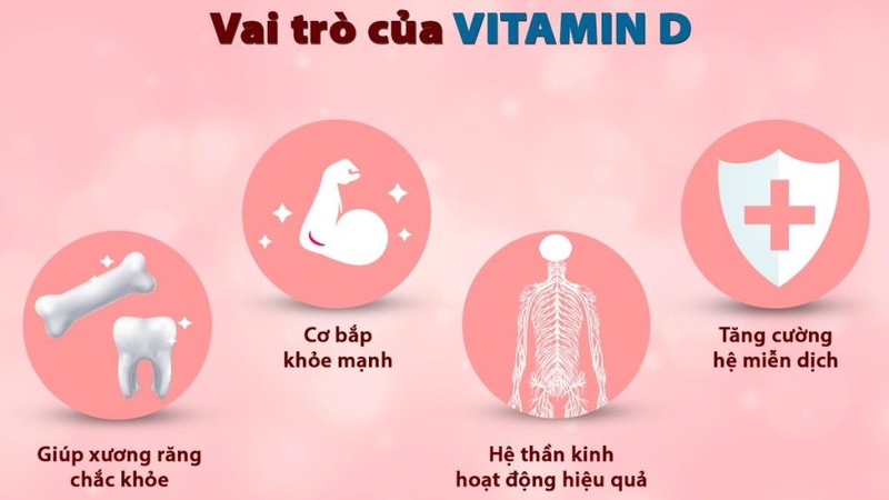 eewks686-vitamin-d-1-1 Vai trò của vitamin D đối với cơ thể.
