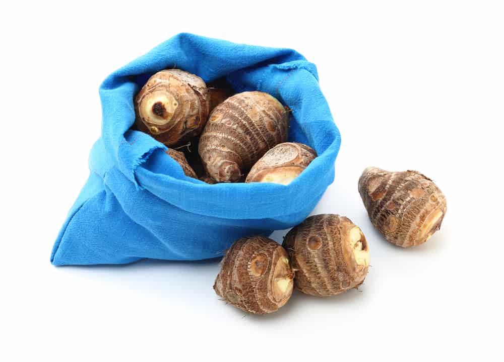 gọt khoai sọ bị ngứa phải làm sao