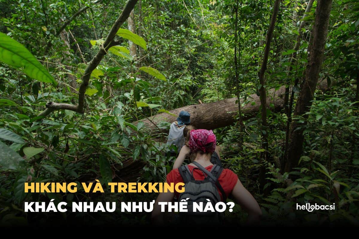 hiking-la-gi_15032024 Hiking là gì? Hiking và Trekking khác nhau như thế nào?