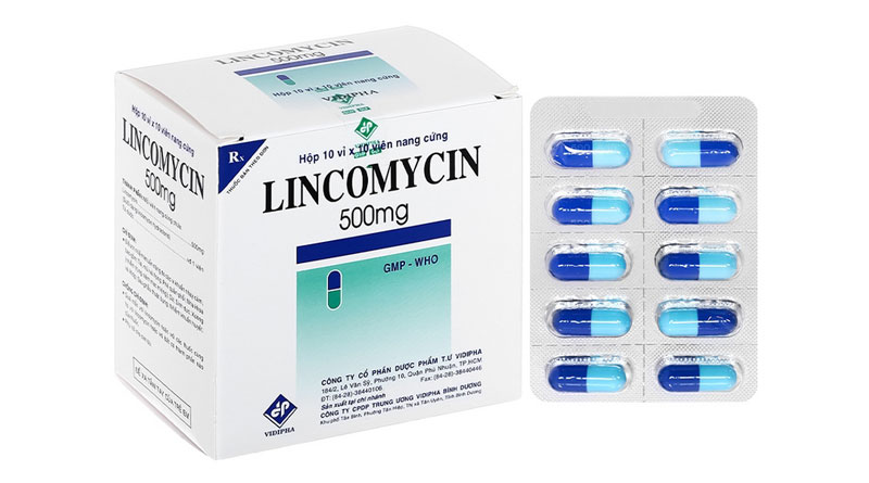 lincomycin-500mg-bao-che-theo-dang-vien-nang-cung Lincomycin 500mg bào chế theo dạng viên nang cứng