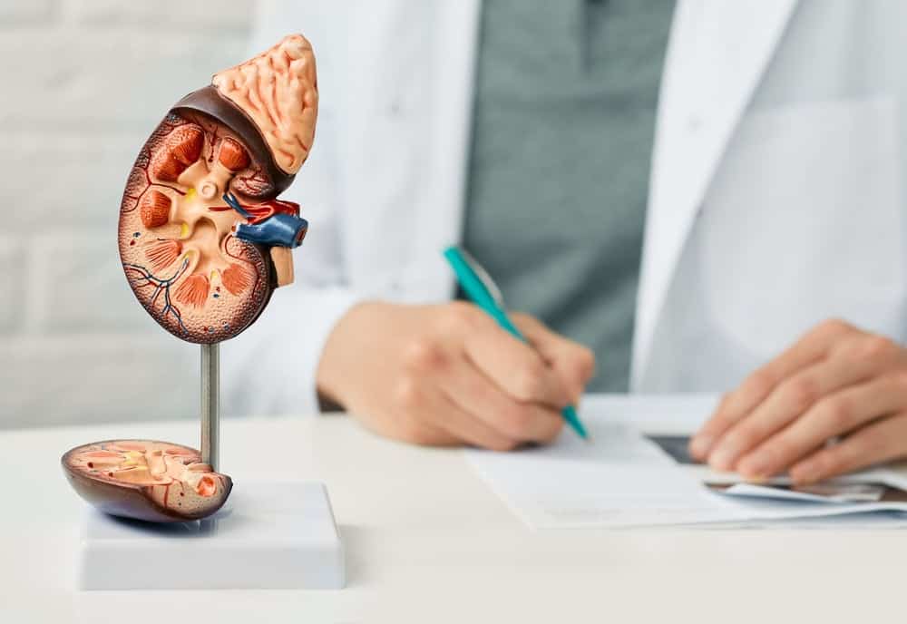 lưu ý khi chữa sỏi thận bằng nước dừa