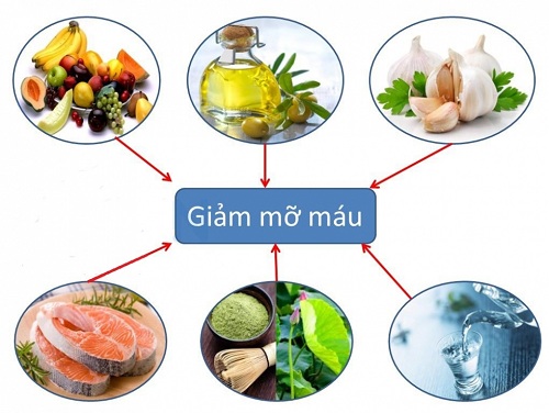 Mỡ máu nên ăn gì và kiêng ăn gì