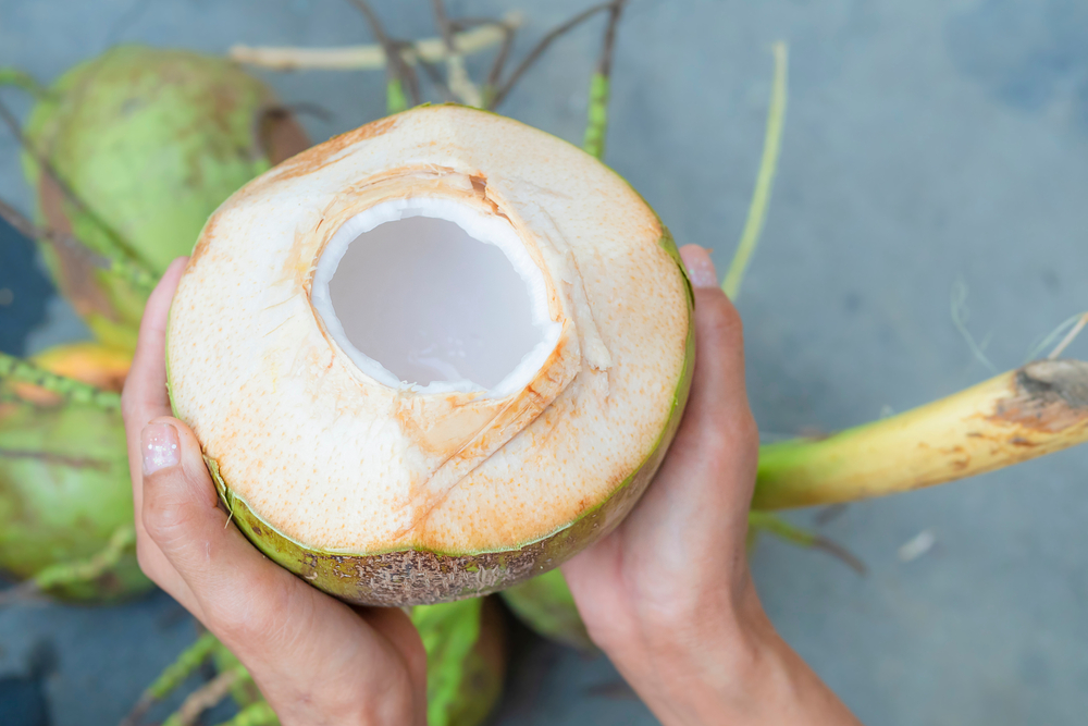 Người đang bị cảm uống nước dừa được không?