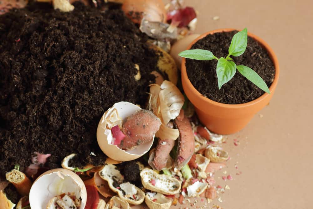 phân loại chất thải rắn