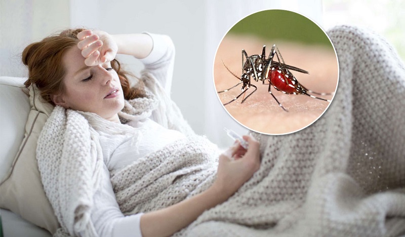 sot-ret-2 Sốt rét lan truyền qua vết cắn của muỗi Anopheles
