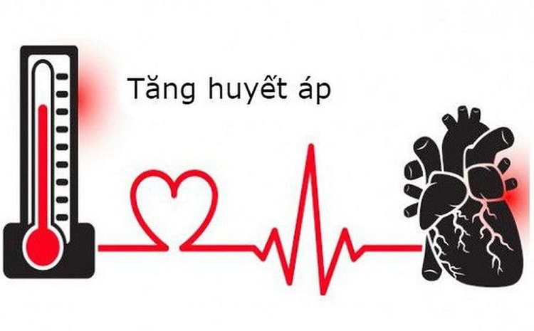 suytim-2 Tăng huyết áp- một trong những nguyên nhân chính gây suy tim ở người cao tuổi