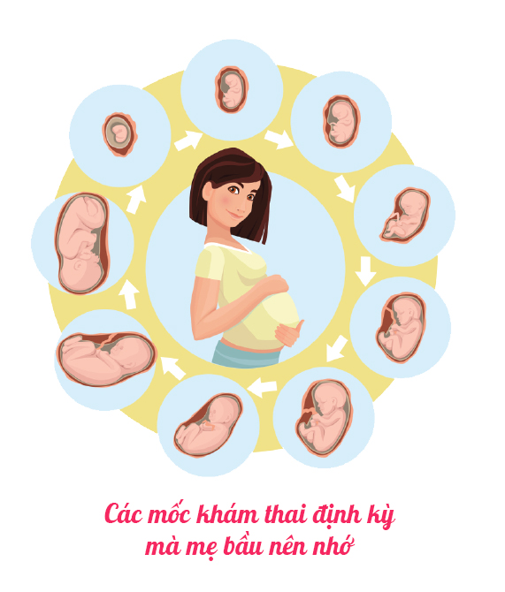 tam-quan-trong-cua-viec-tuan-thu-theo-moc-kham-thai-dinh-ky-cua-bac-si Mẹ bầu cần khám thai định kỳ để phát hiện các dị tật
