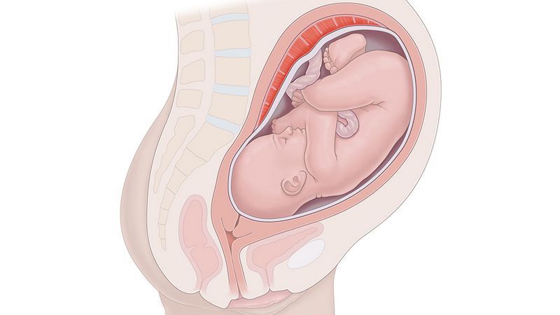 thai-nhi-37-tuan-4-1 Những vấn đề sức khỏe của mẹ và thai nhi 37 tuần tuổi