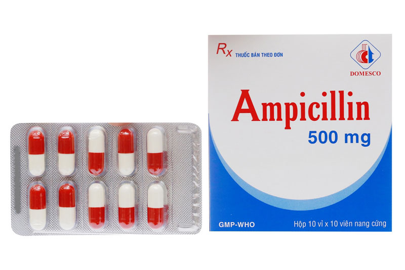 thuoc-ampicillin-500mg-vien-nang-cung Thuốc Ampicillin 500mg viên nang cứng
