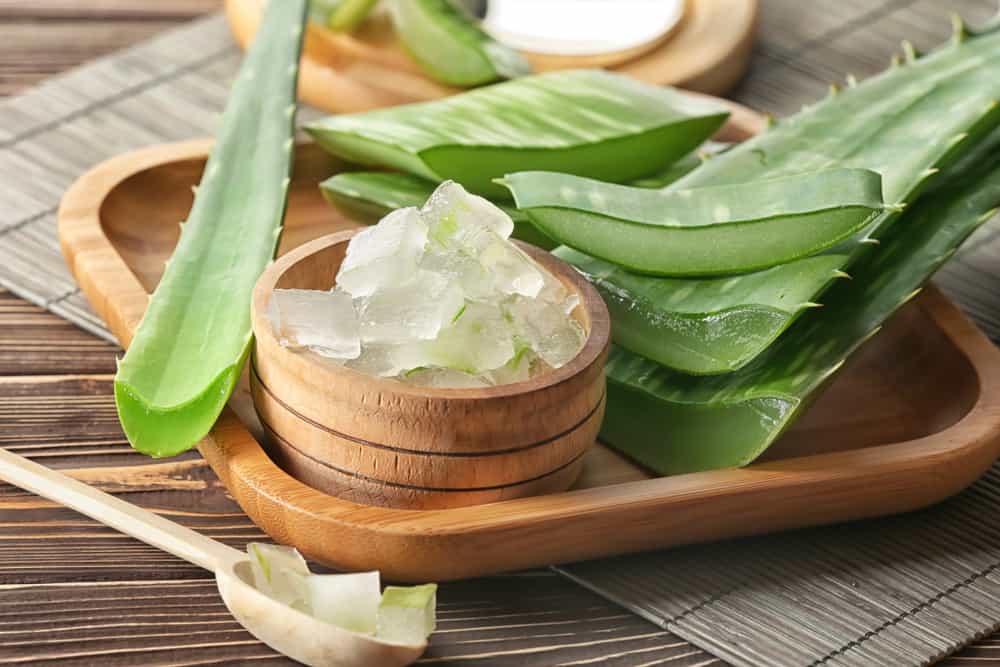 vết ong đốt bị ngứa phải làm sao: bôi gel nha đam